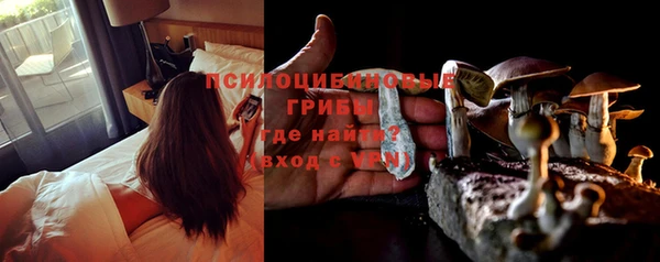 мет Арсеньев