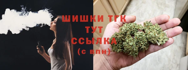гидра Аркадак