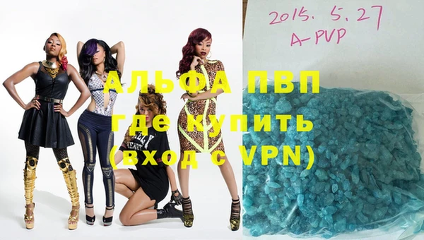 гидра Аркадак